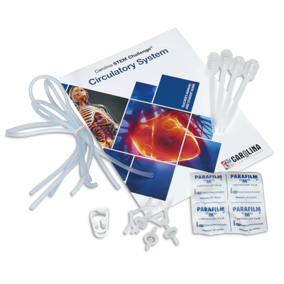 Stem Challenge Circulatory System 1 Station Kit 1