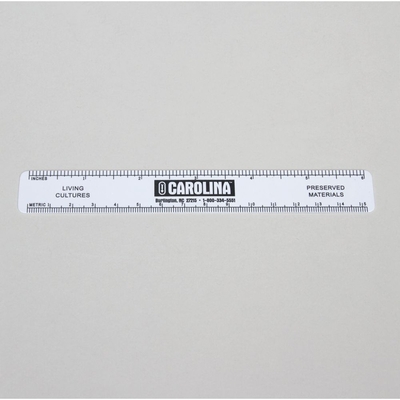 Ruler White Vinyl Pack Of 12