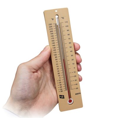 Immersion Thermometer Plastic Back