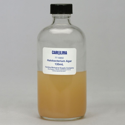 Halobacterium Agar 135 Ml Prepared Media Bottle