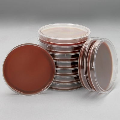 Chocolate Agar With Vx Prepared Media Plates 100 X 15 Mm Pack 10