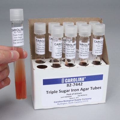 Triple Sugar Iron Agar Slant Prepared Media Tubes Pack 10