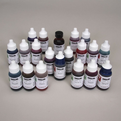 Comprehensive Stain Set