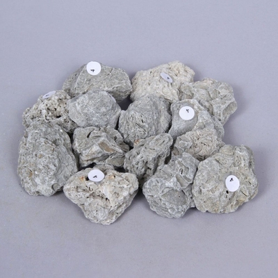 Limestone Specimen (labeled 