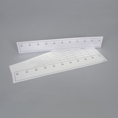 Lidl Ruler Ruler, 1 L, Laminated, Pack of 16 | Carolina Biological Supply