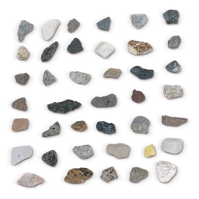 Washington School Student Rock Collection | Carolina Biological Supply