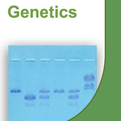 Biokits Corn Dihybrid Genetics Replacement Sg Set