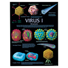 Virus I Ii Iii Posters