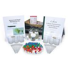 C-FERN Asexual and Sexual Reproduction Kit (with voucher)