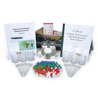 C Fern Asexual And Sexual Reproduction Kit With Voucher