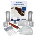 Planaria Regeneration Kit