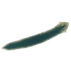 Planaria Living