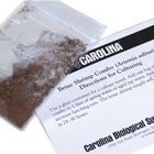 Brine Shrimp (Artemia) Combo Set