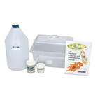 Daphnia Pulex Culture Kit Living