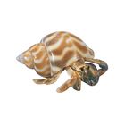 Land Hermit Crab Fancy Living Pack Of 3