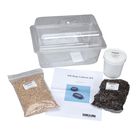 Pill Bug Culture Kit