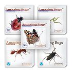 Amazing Bugs Variety Set