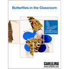 Butterflies In The Classroom Digital Resources