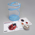 Ladybugs Amazing Bugs Kit