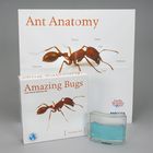 Ants Amazing Bugs Kit With Voucher