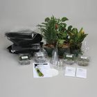 Plant Kingdom Survey Set Living