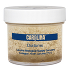 Field-Collected Mixed Diatoms Culture, Living