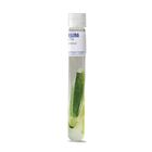 Green Algae, Protococcus