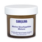 Marine Dinoflagellate Mixture Living