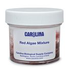 Red Algae Mixture Living