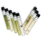 Algae Representative Set, Living