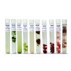 Marine Algae Set Living