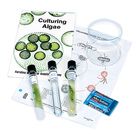 Chlamydomonas Mating Kit, Living