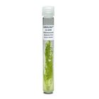 Chlorococcum hypnosporum, Bacteria-Free, Living
