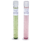 Green Algae, Haematococcus