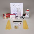 Gram Stain And Bacterial Morphology Kit