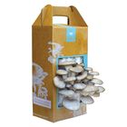 Grow Your Own Mushroom Garden Kit