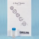 C-FERN Spores, Single-Gene Nuclear Mutant, Maleless