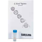 C Fern Spores Wild Type Presterilized Vial Kit Sized