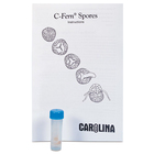 C Fern Spores F1 Polka Dot Presterilized Vial Kit Sized