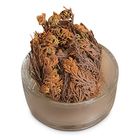 Resurrection Plant, Living