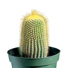 /images/fpo/product-140x140.gif