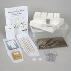 Wisconsin Fast Plants Confetti Kit