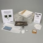 Wisconsin Fast Plants&reg; Dihybrid Genetics Kits