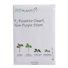 Wisconsin Fast Plants&reg; F<sub>2</sub> Rosette-Dwarf, Non-Purple Stem Seed (F<sub>2</sub> Rosette, Anthocyaninless), Pack of 250