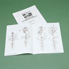Wisconsin Fast Plants&reg; Booklet, Investigating Growth and Development