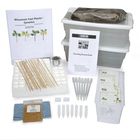 Wisconsin Fast Plants&reg; Who's the Father? Investigating Genetics Kits