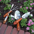 Hand Tool Set for Horticulture