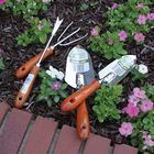 Hand Tool Set For Horticulture