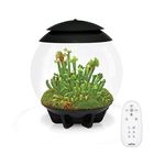 biOrb&reg; AIR 30 Terrarium