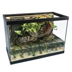 River Tank Complete Ecosystem